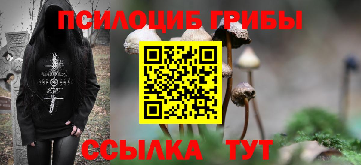 Псилоцибиновые грибы мухоморы  купить наркотик  Первоуральск  Вход с VPN  Псилоцибиновые грибы прущие грибы 